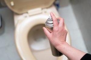 トイレに大量発生するコバエの駆除は水回りの掃除 駆除剤での対処がカギ 名古屋のトイレつまり 水漏れ修理 水のトラブル なごや水道職人